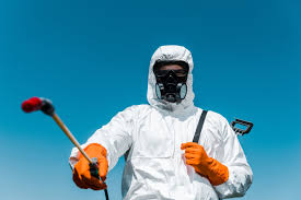 Best Termite Inspection and Treatment  in Goodwell, OK